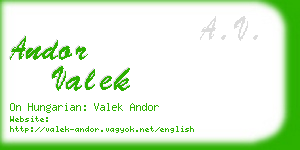 andor valek business card